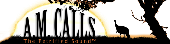 A.M. Calls - The Petrified Sound